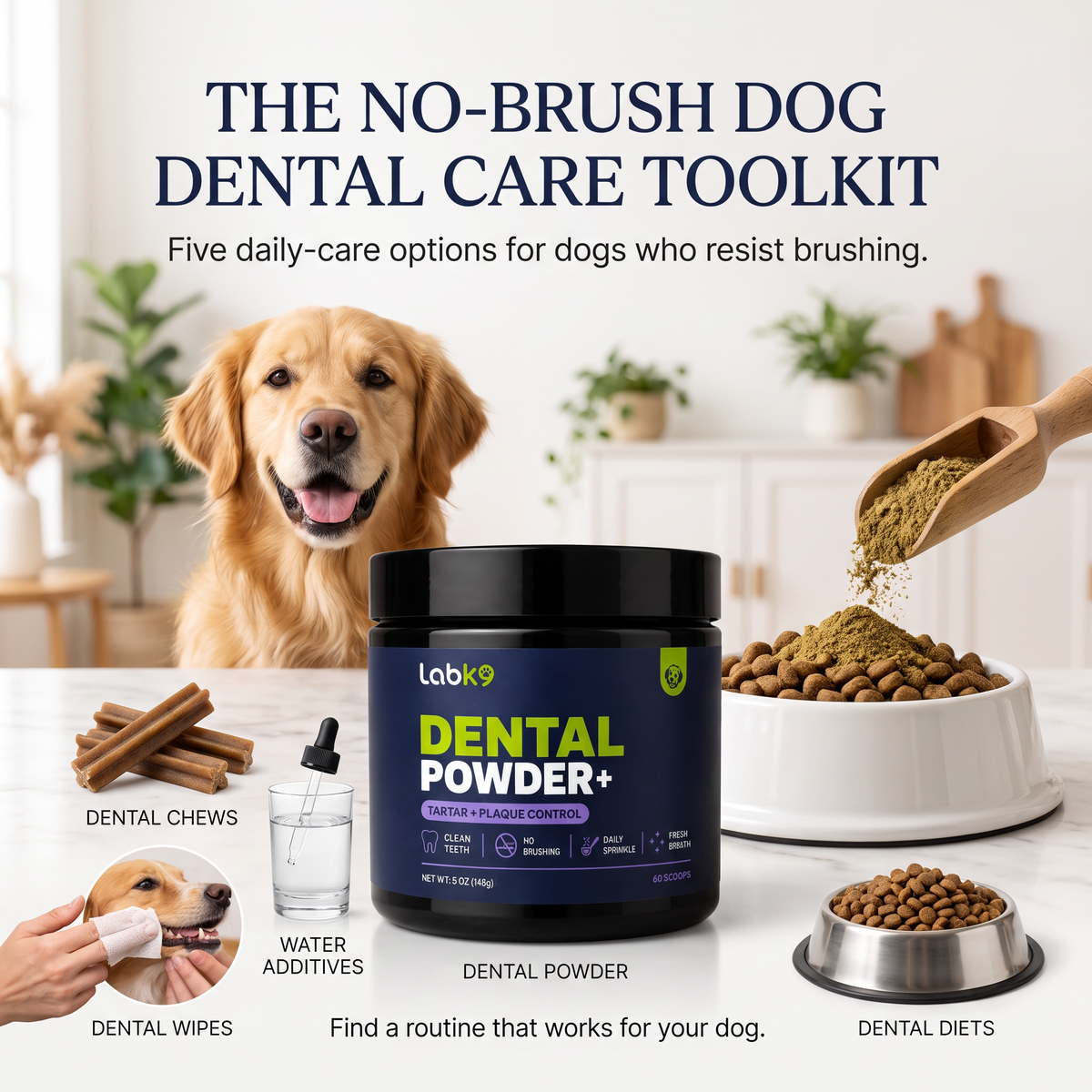 Dog Dental Care Without Brushing: What Actually Works?