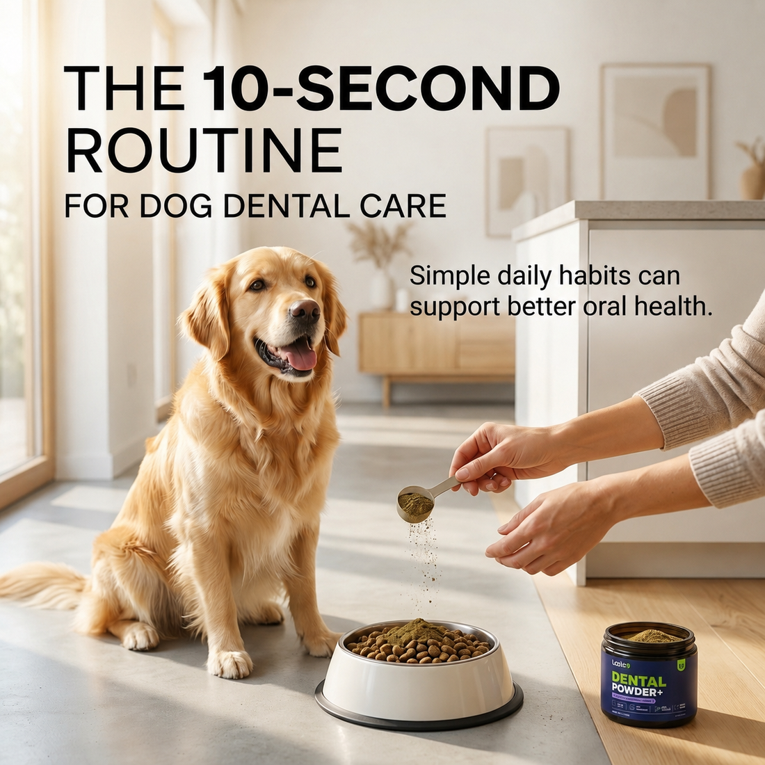 The 10-Second Routine for Dog Dental Care