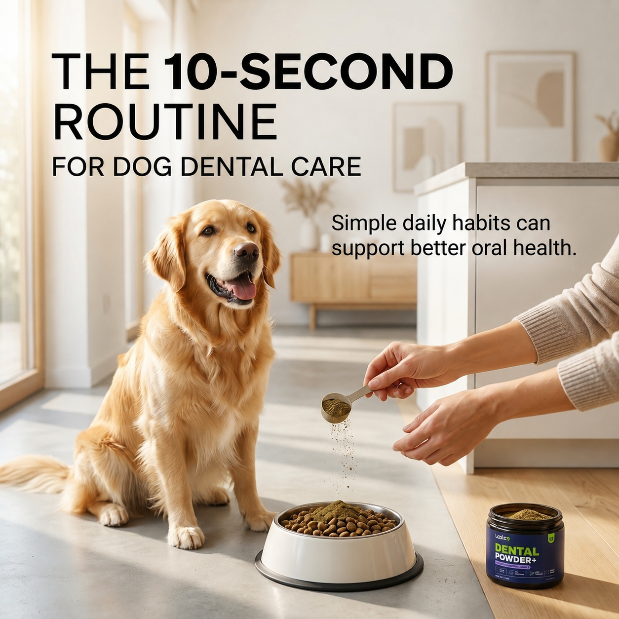 The 10-Second Routine for Dog Dental Care