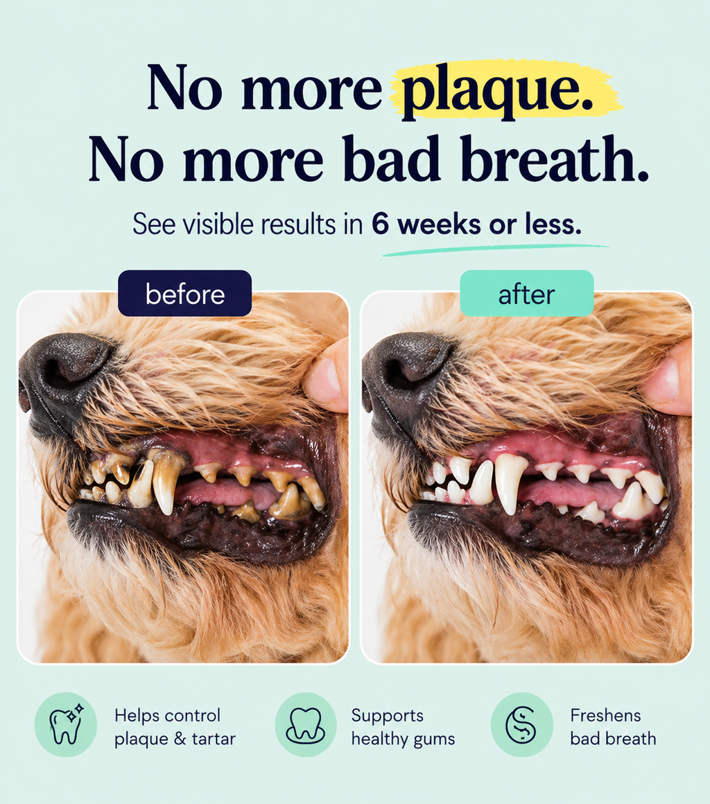 Cani Mint™ - Fix your dog’s bad breath without brushing