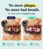 Cani Mint™ - Fix your dog’s bad breath without brushing