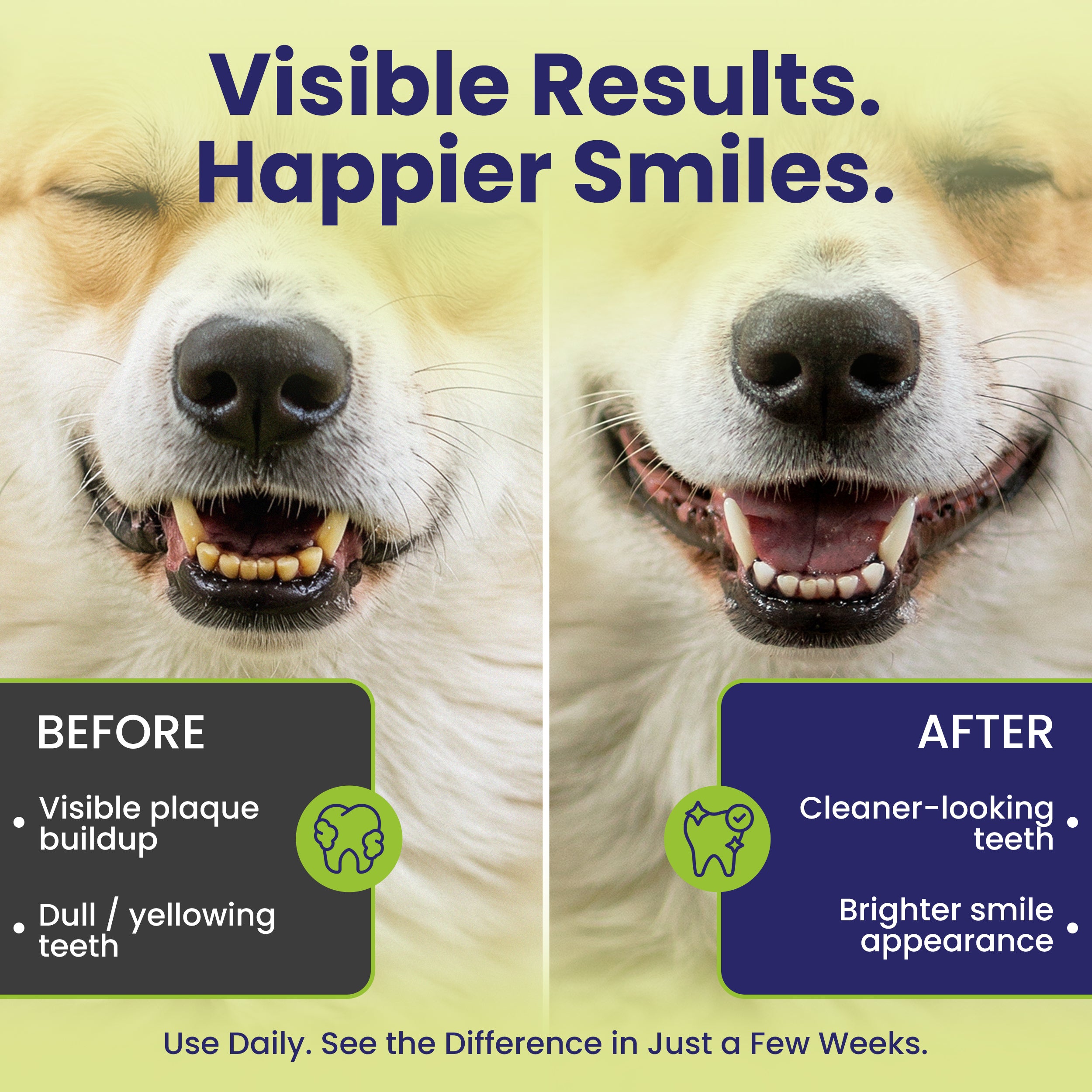 Before and after results showing cleaner teeth and reduced plaque after using LabK9 Dental Powder