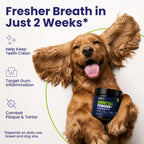 LabK9 Dental Powder helps support fresher breath and cleaner teeth in as little as two weeks