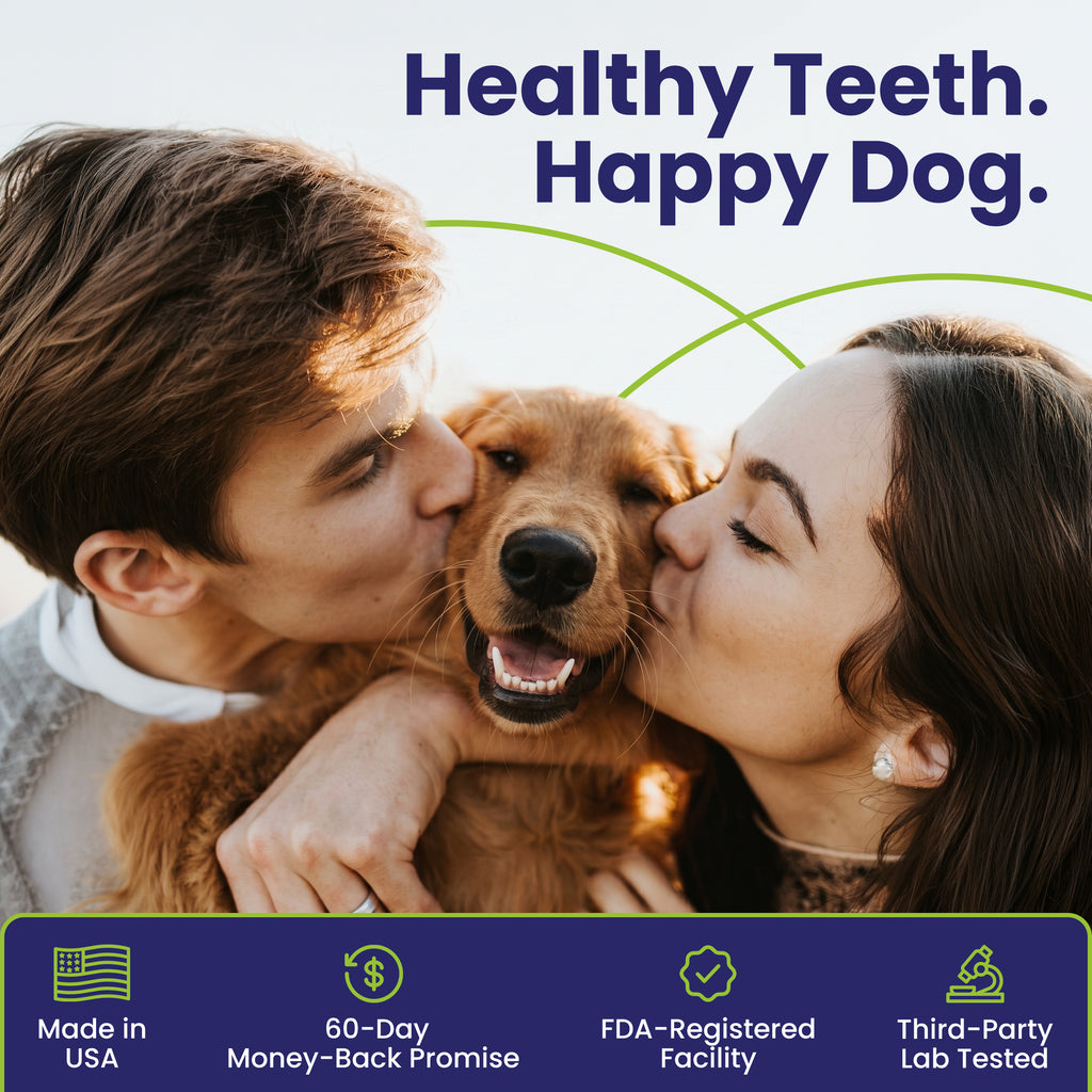 Happy dog with healthy teeth after using LabK9 Dental Powder for daily oral care.