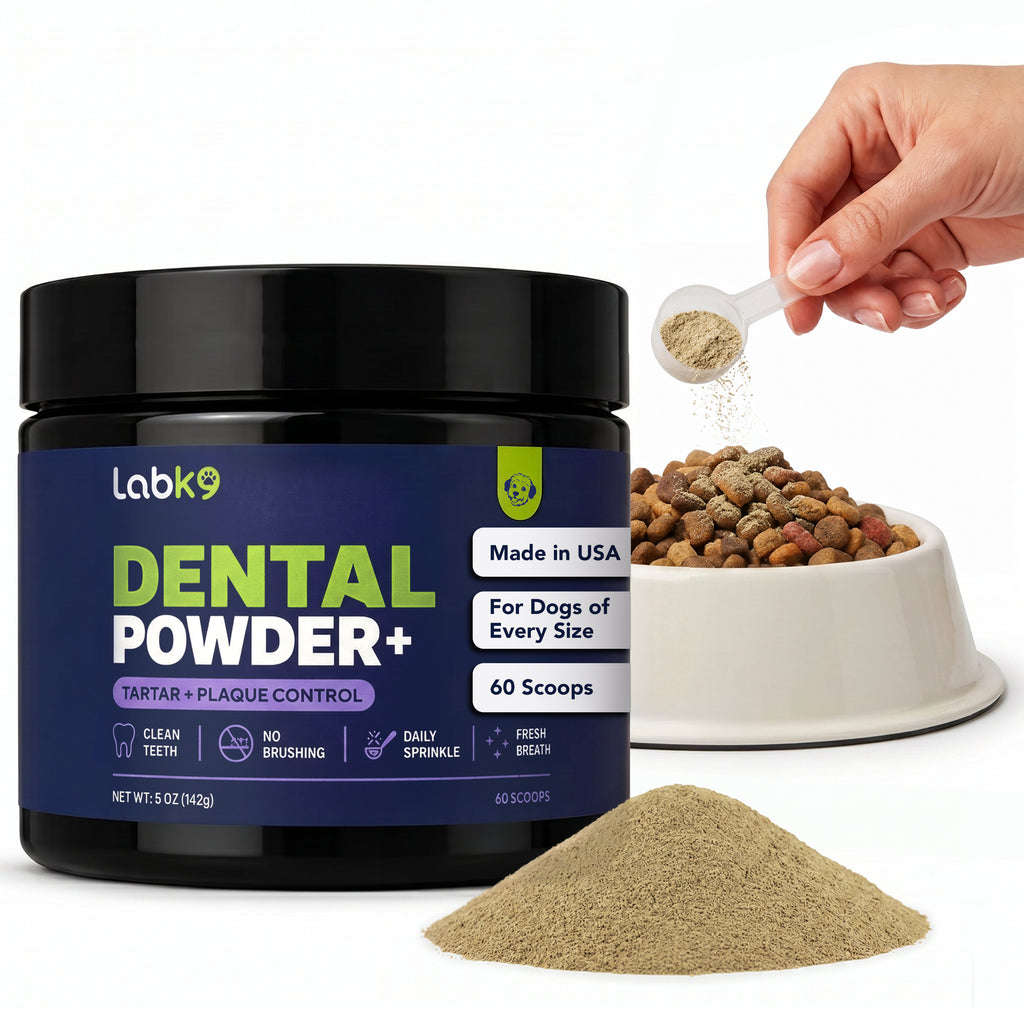 Close-up of LabK9 Dental Powder container with scoop, powder, and dog food bowl