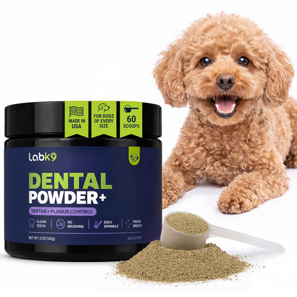 LabK9 Dental Powder for dogs with scoop and natural dental powder for fresh breath and plaque control.