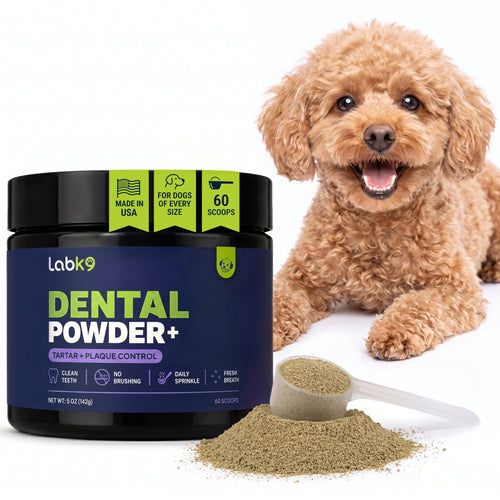 LabK9 Dental Powder for dogs with scoop and natural dental powder for fresh breath and plaque control.